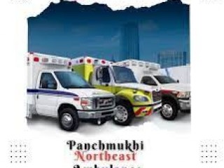 Panchmukhi North East Ambulance Service in Rangia: ICU ventilator system