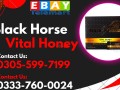 black-horse-vital-honey-price-in-rahim-yar-khan-0305-5997199-small-0