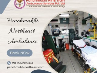 Panchmukhi North East Ambulance Service in Udaipur with highly developed medical care