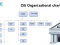 citigroup-org-charts-streamline-your-bfsi-operations-with-precision-small-0