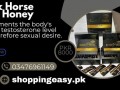 black-horse-vital-honey-price-in-pakistan-small-0