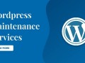 wordpress-maintenance-services-small-0