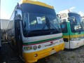 buses-small-1