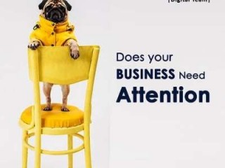 Website Development Services