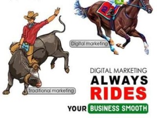 Best Web Designing Services