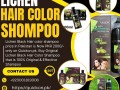 lichen-hair-color-shampoo-price-in-pakistan-03001819306-small-0