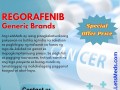 bumili-regorafenib-40mg-tablets-brands-online-manila-makati-philippines-small-1