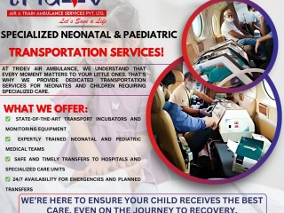 The Convenient Tridev Air Ambulance Services in Delhi Has Patient Shifting Service