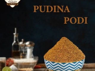 Best Pudina podi