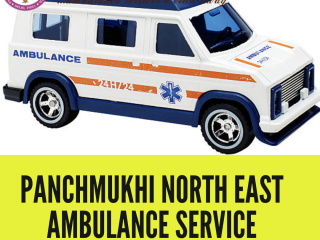 Shift from one place to another Ambulance Service in Senapati by Panchmukhi North East