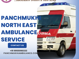 Pick Genuine Ambulance Service in Udaipur by Panchmukhi North East