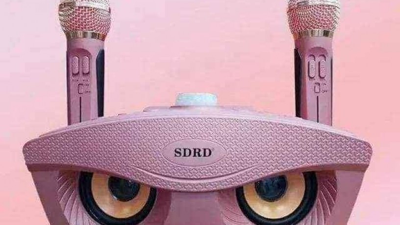 original-sdrd-karaoke-big-1