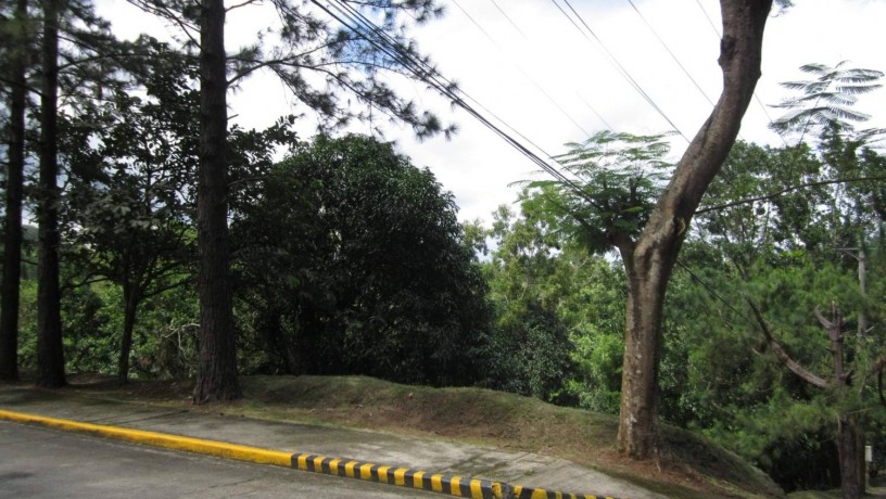 canyon-woods-vacant-lot-for-sale-near-tagaytay-big-4