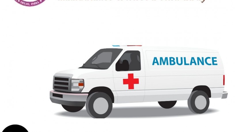 ambulance-services-in-delhi-by-panchmukhi-safe-patient-van-big-0