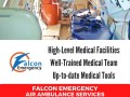 falcon-emergency-air-ambulance-service-in-vellore-skilled-medical-staff-small-0
