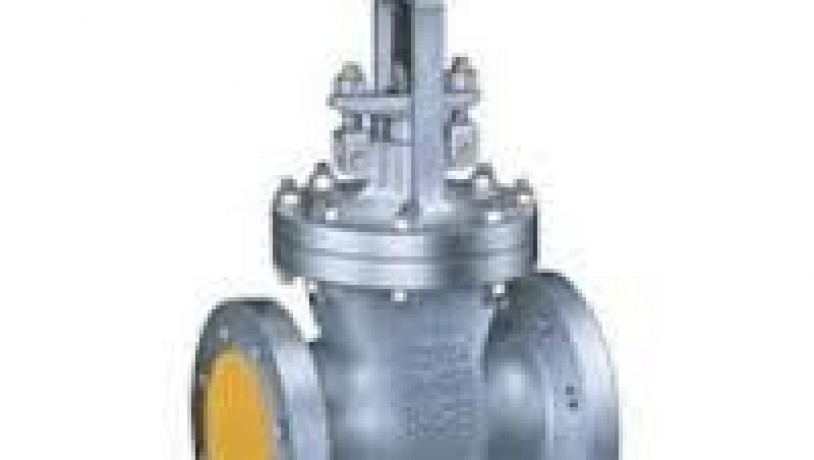 gate-valves-suppliers-in-kolkata-big-0