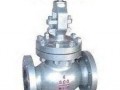 globe-valves-suppliers-in-kolkata-small-0
