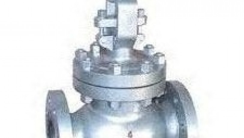 globe-valves-suppliers-in-kolkata-big-0