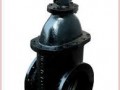 sluice-valves-suppliers-in-kolkata-small-0