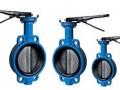 butterfly-valves-in-kolkata-small-0