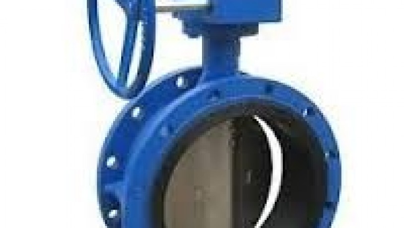butterfly-valves-suppliers-in-kolkata-big-0