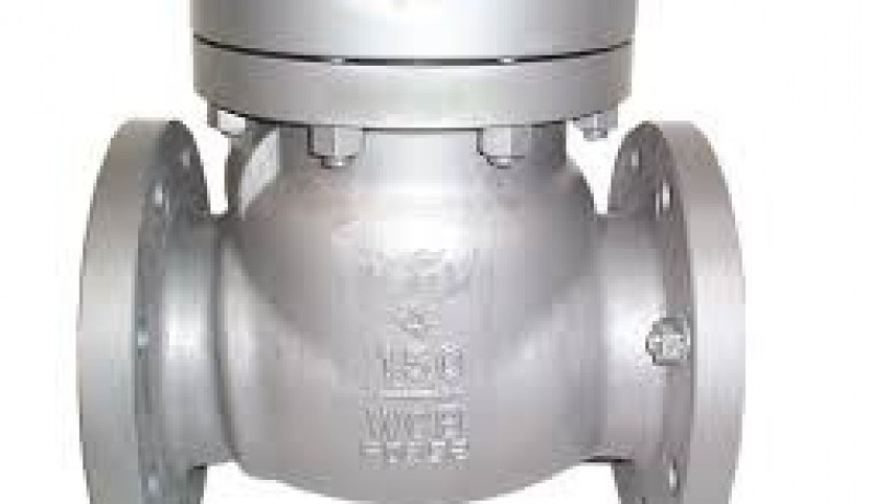 check-valves-in-kolkata-big-0