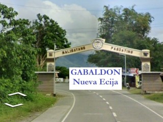 Nueva Ecija Agricultural Lot for sale  in  Ligaya, Gabaldon