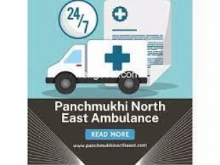 Panchukhi North East Ambulance Service in Williamnagar: Safety is a priority