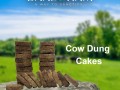 cow-dung-cake-for-manure-in-andhra-pradesh-small-0