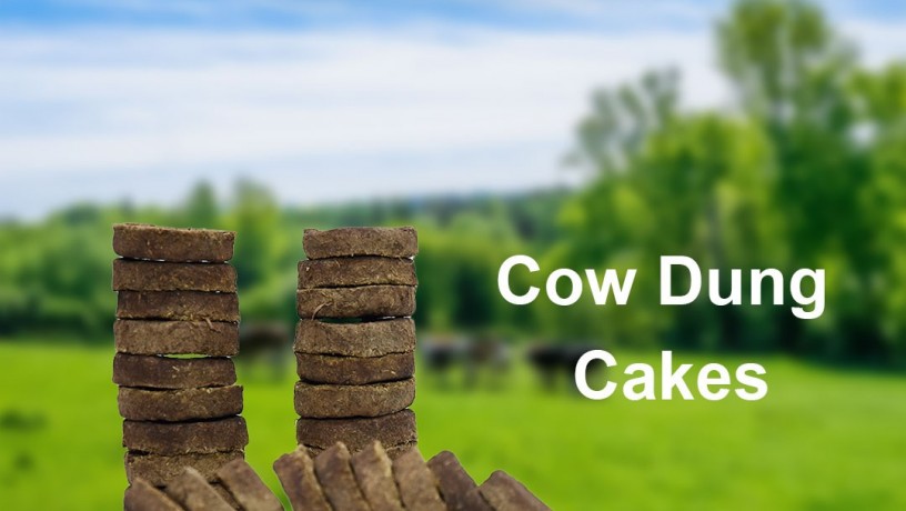 cow-dung-cake-for-manure-in-andhra-pradesh-big-0