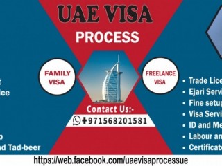 2 years Partner / Investor Visa:+971568201581