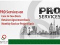pro-services971568201581-small-0