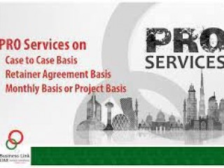 +PRO Services:971568201581