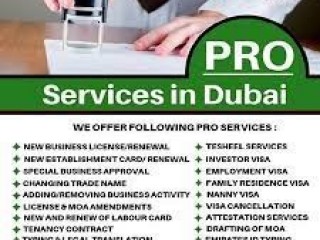 PRO Services:+971568201581