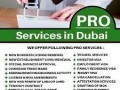 pro-services-in-2023971568201581-small-5