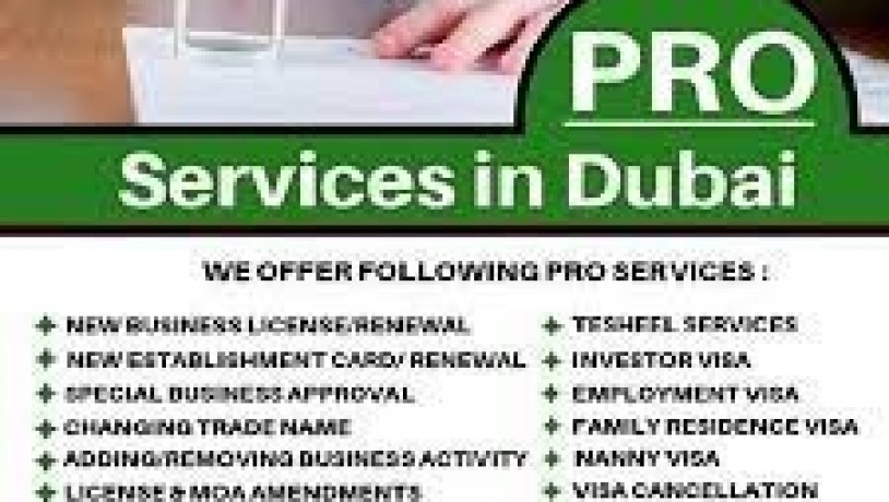 pro-services-in-2023971568201581-big-1