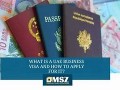 2-years-freelancer-visa-in-2023-971568201581-small-7