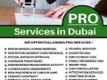 2-years-business-partner-visa-uae-in-2023971568201581-small-9