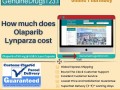 how-much-does-olaparib-lynparza-cost-small-0