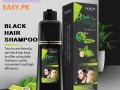lichen-hair-color-shampoo-price-in-pakistan-03476961149-small-0