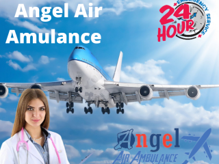 Select Angel Air Ambulance Service In Vellore The Dedicated Team Of Professionals