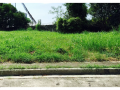 vacant-lot-946sqm-for-sale-in-greenmeadows-ugong-norte-quezon-city-small-0