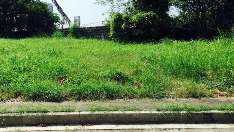 vacant-lot-946sqm-for-sale-in-greenmeadows-ugong-norte-quezon-city-big-0
